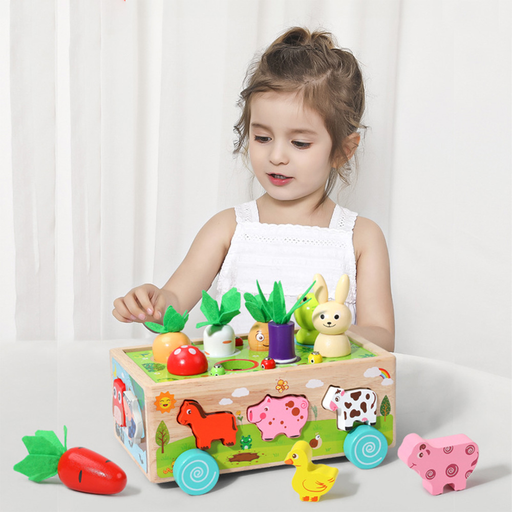 Houten Vorm Assortiment Bijpas - Kids Education Number recensie en prijs